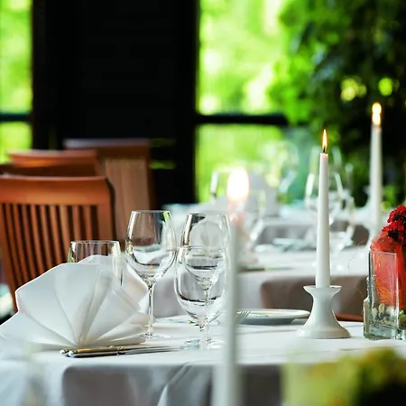 Trans World Donauwelle