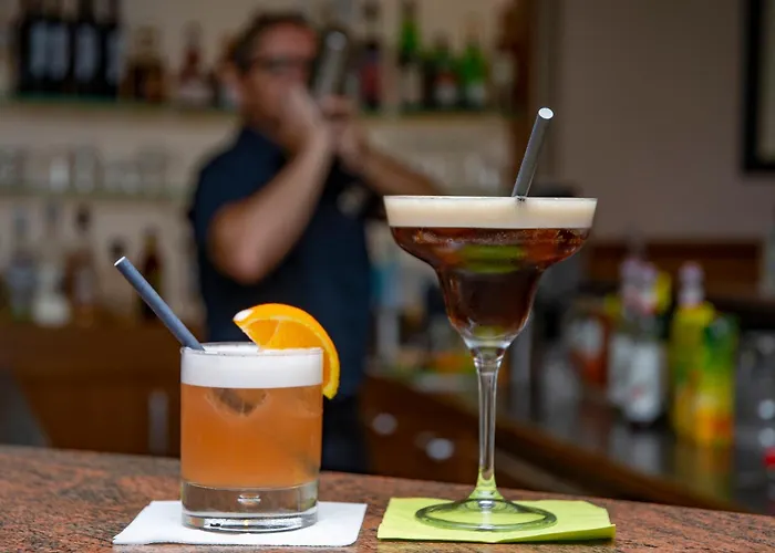 Otel Trans World Donauwelle Linz