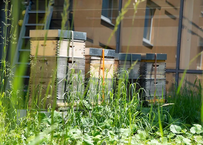 Trans World Donauwelle Otel Linz