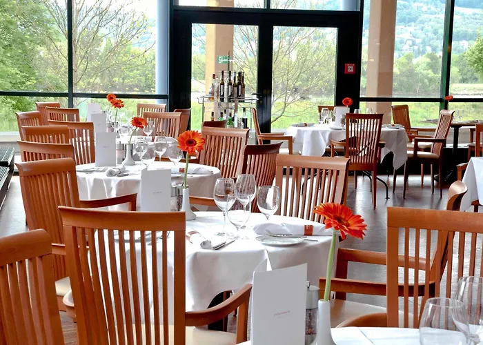 Отель Trans World Donauwelle