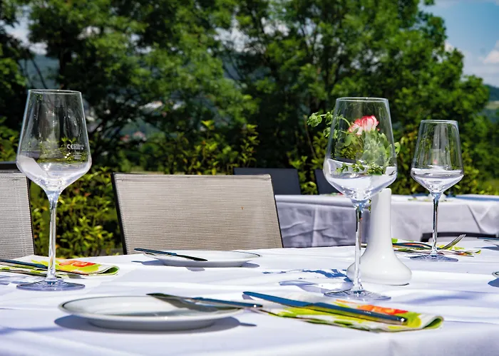 Отель Trans World Donauwelle 4*